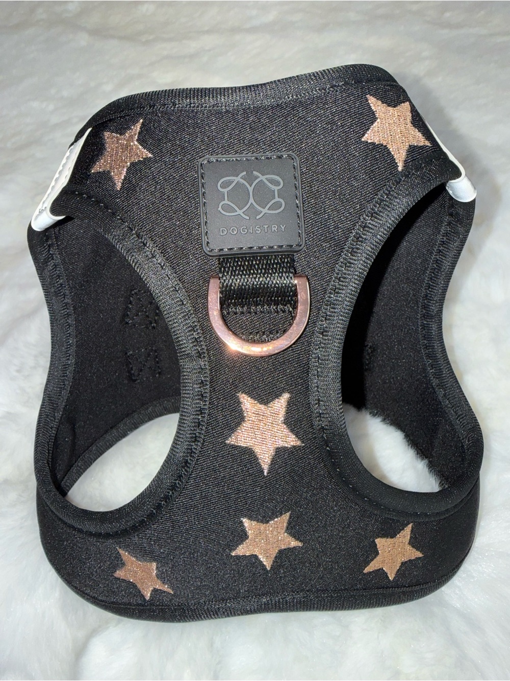 Dogistry Soho Harness - Rock Star - Picture 9 of 15